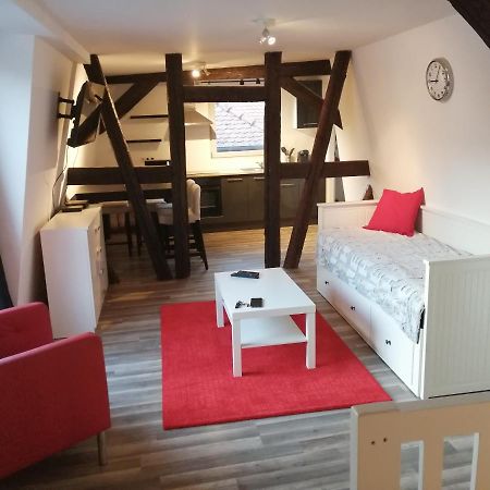 Magnifique Gite Plein Centre De Sélestat Zewnętrze zdjęcie