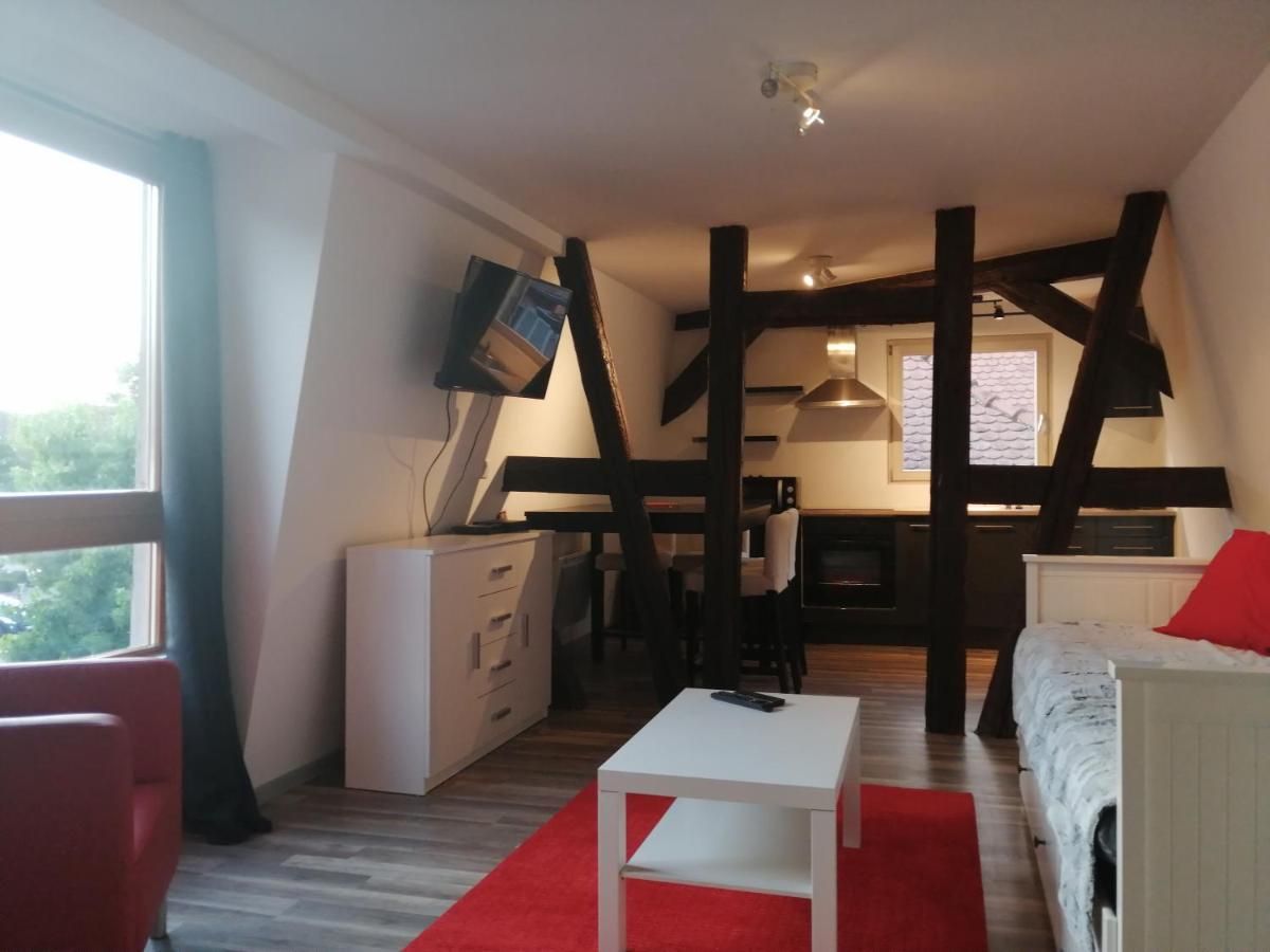 Magnifique Gite Plein Centre De Sélestat Zewnętrze zdjęcie